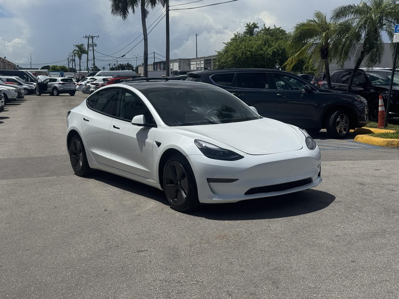 tesla model 3 2023 5YJ3E1EA0PF564197 image tesla model 3 2023 5YJ3E1EA0PF564197 image